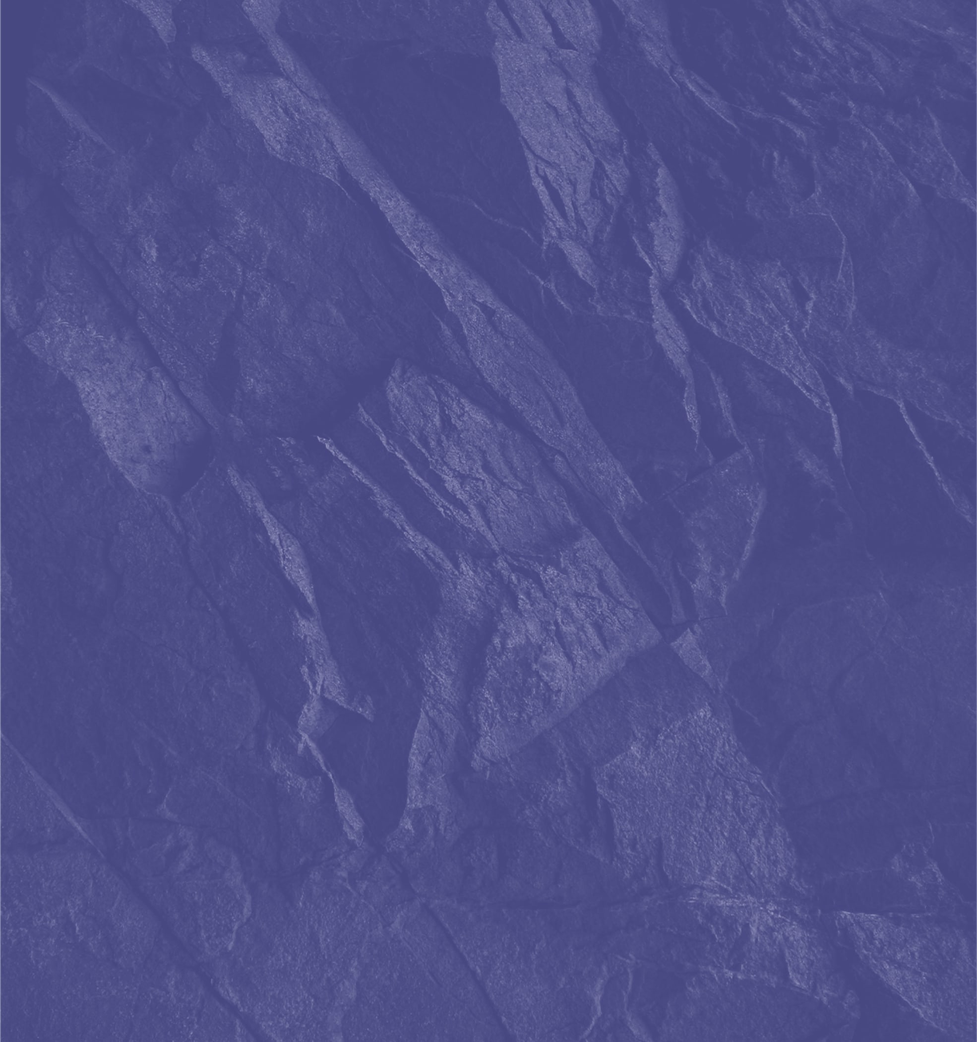 Sonoma State University Purple Texture Background